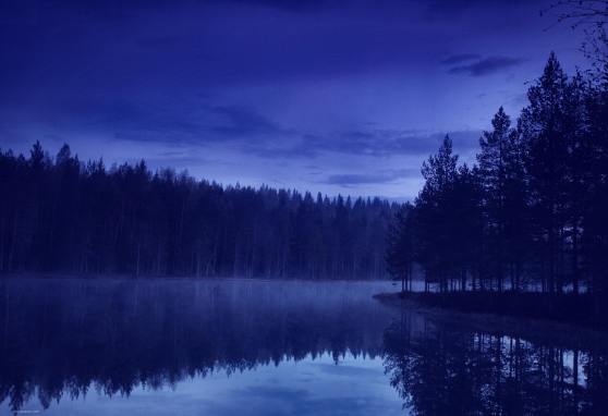 Forest-Lake-at-Night